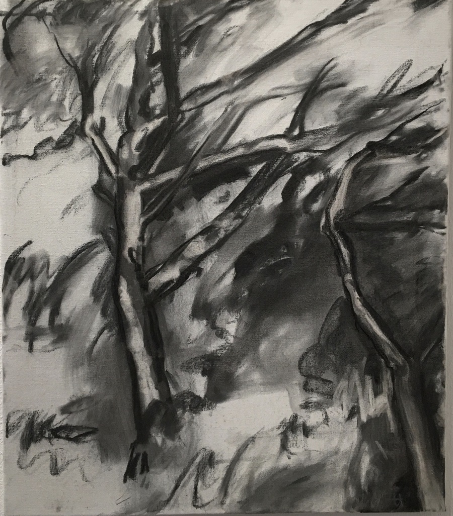 Finn Have. “Fjornære træer. Jørsby, Mors”. Charcoal on canvas. 70 x 60 cm.